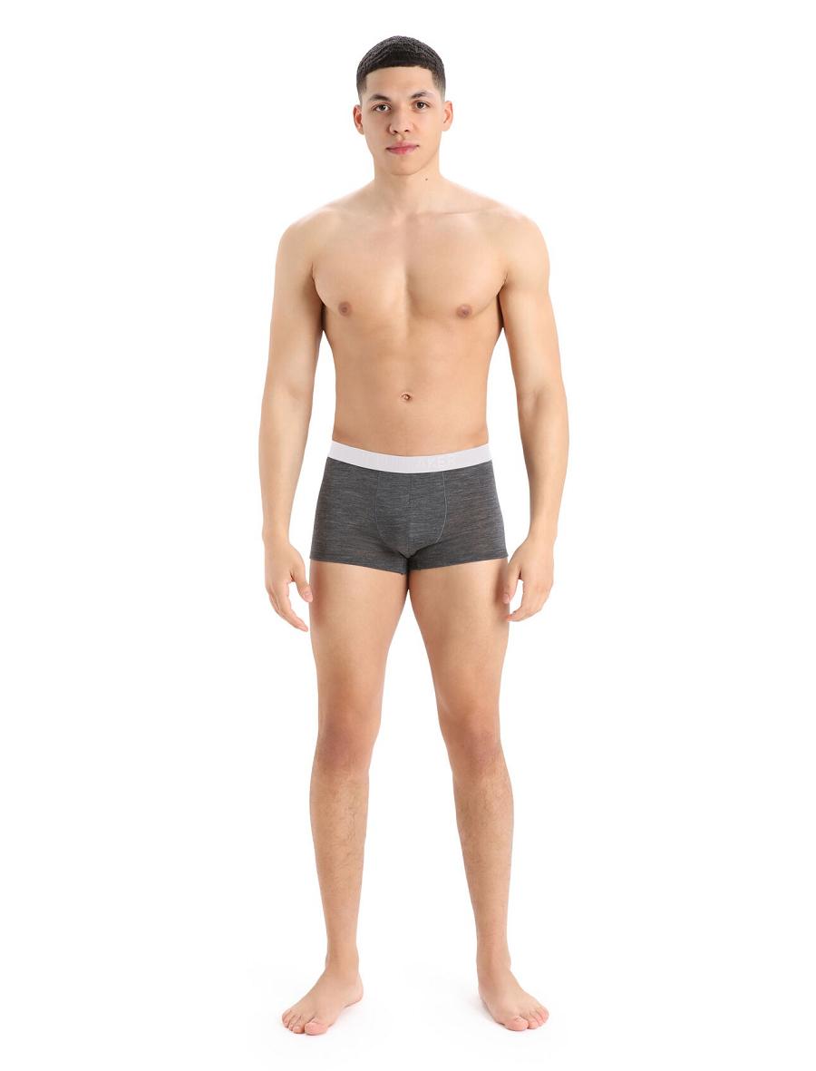 Bielizny Icebreaker Cool-Lite™ Merino Anatomica Trunks Męskie Taupe | PL 1659XYUF